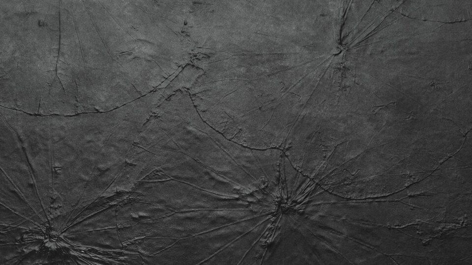 Detail of black textured surface with lotus leaves