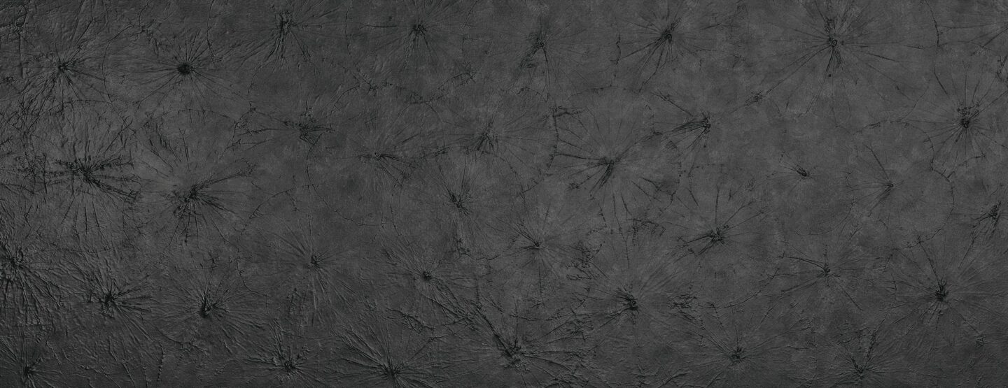 Full plate photo of black matte design plate with lotus structure