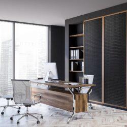Modernes Büro, Schrankfronten mit schwarz strukturierten Inlays im Rattan-Look
