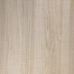 Detailaufnahme helles Holzdekor mit feiner Maserung