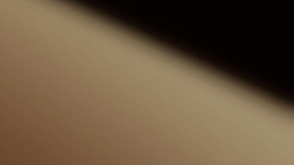 Detail view high gloss brown decor