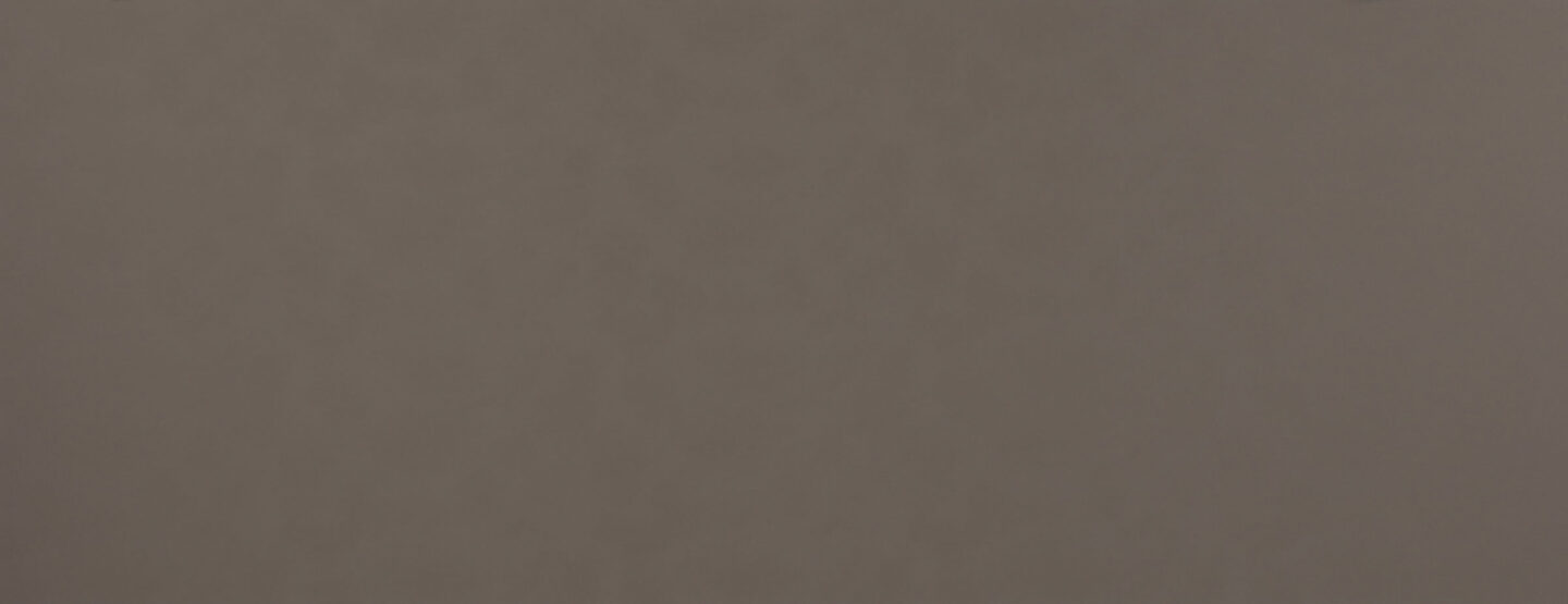 Whole plate photo gray decor in leather look