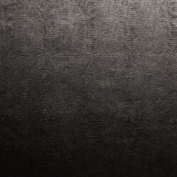 Detailaufnahme schwarzes Dekor in Leguan-Maserung mit silbernen Akzenten