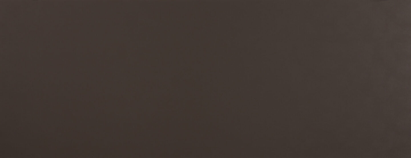 Whole plate photo black decor in leather look