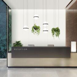 Modern reception with dark gray patterned and wood clad walls