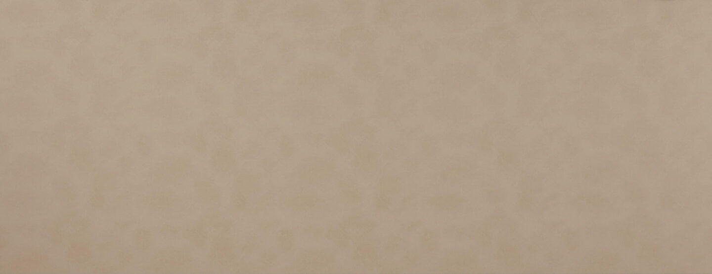 Ganzplattenfoto cremefarbenes Lederpaneel