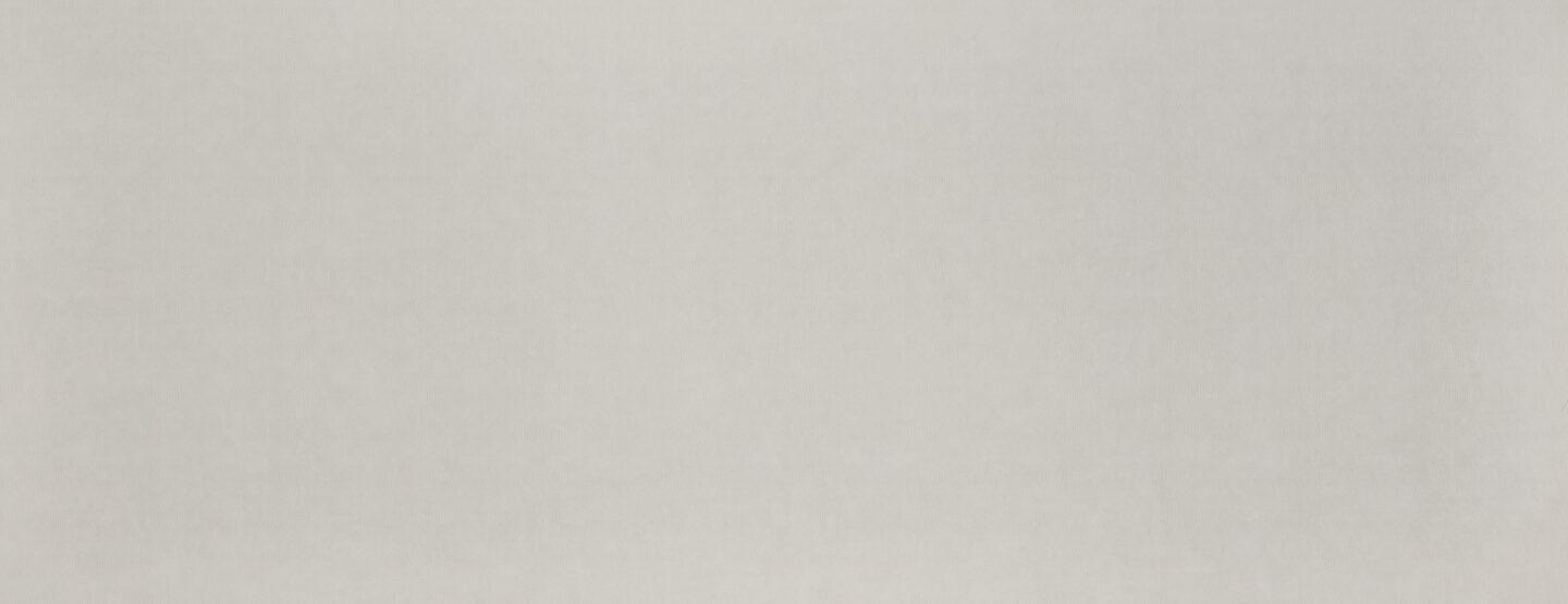 A whole plate photo of our LL Iguana Bianco