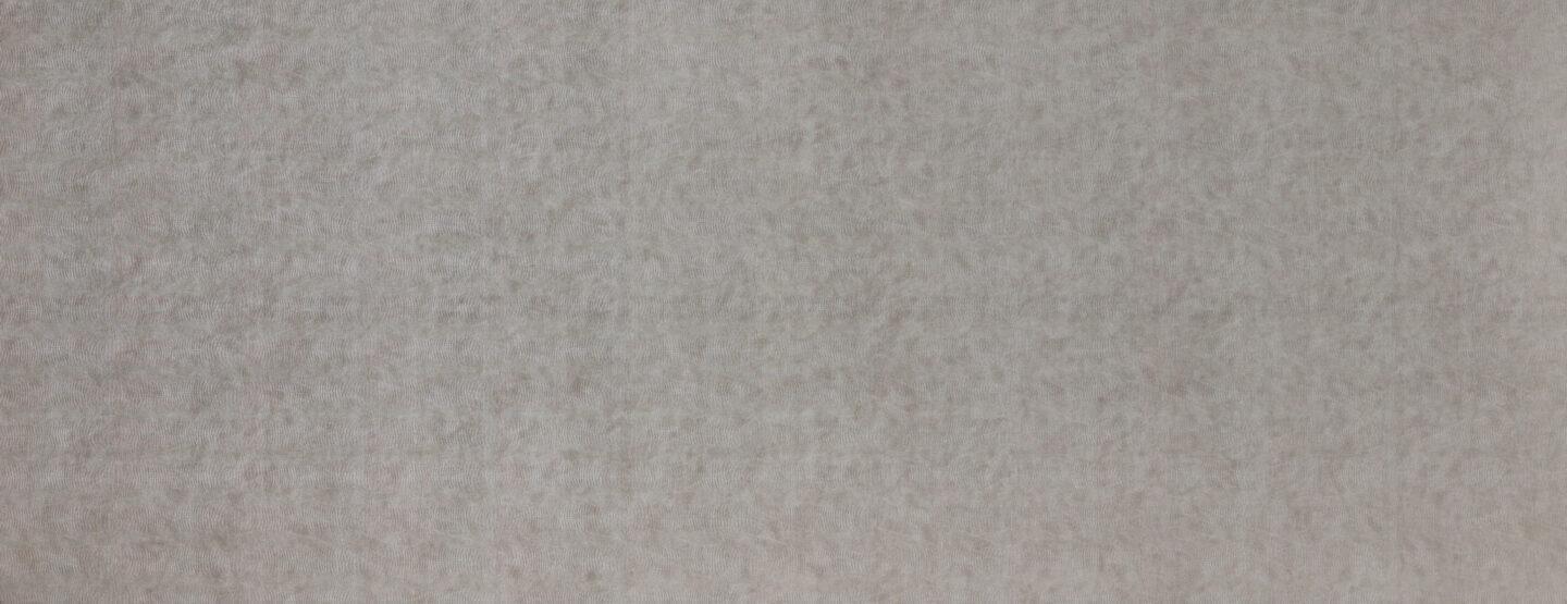 Ganzplattenfoto von dem hellgrauen Design LL Leguan Silver in Lederoptik