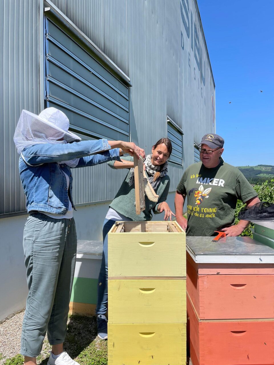 Employees removing honeycombs from the hive