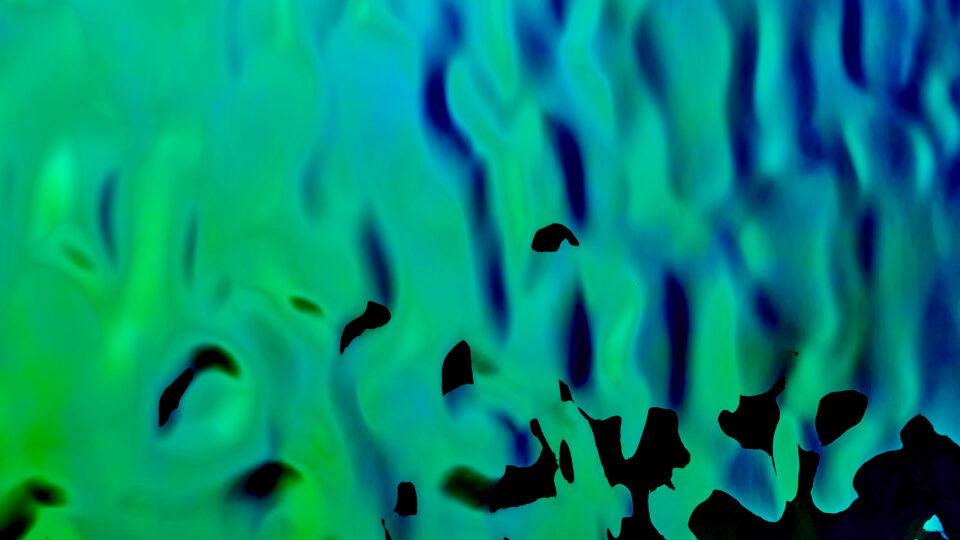 Detailaufnahme eines grünen, glänzenden Dekors mit Struktur