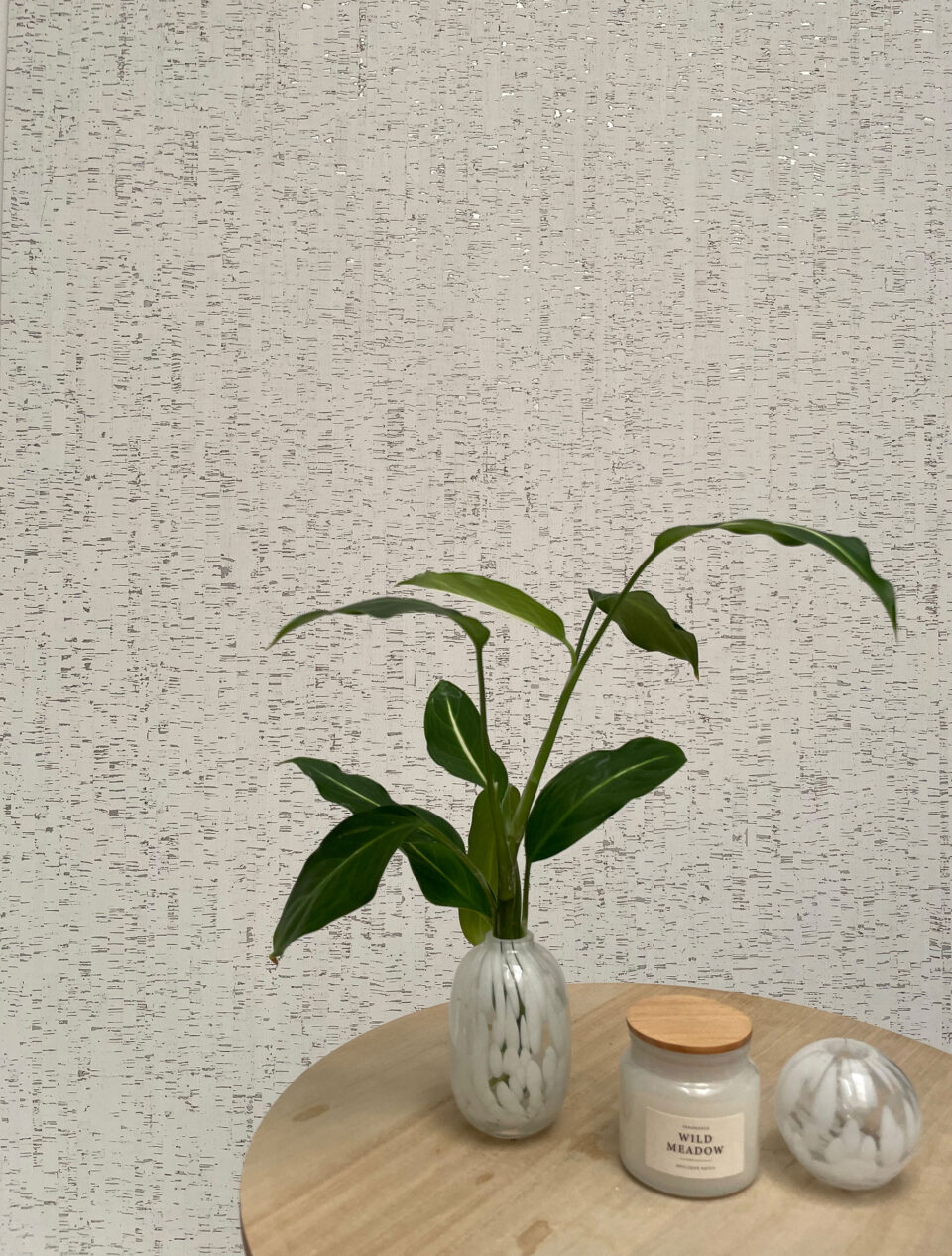 Bild mit grüner Pflanze vor einem hellen Korkhintergrund