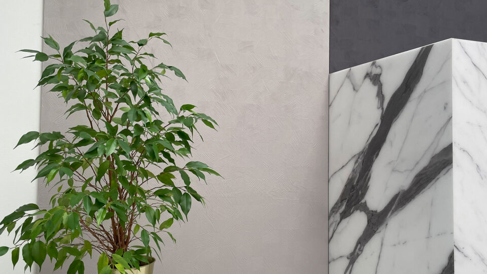 grüne Pflanze vor hellgrauem Hintergrund