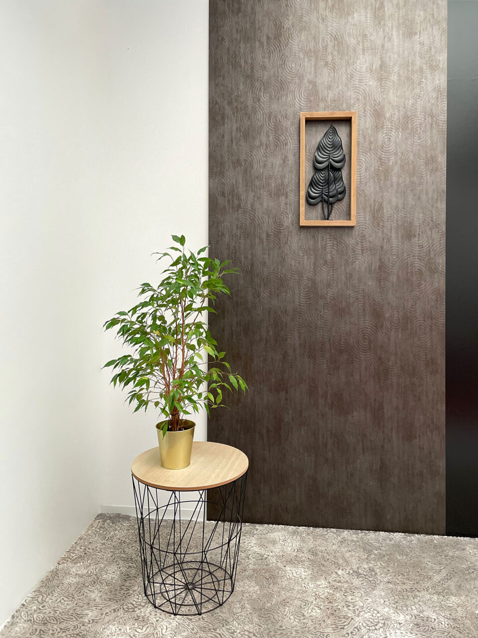 grüne Pflanze vor dunkel strukturiertem Hintergrund