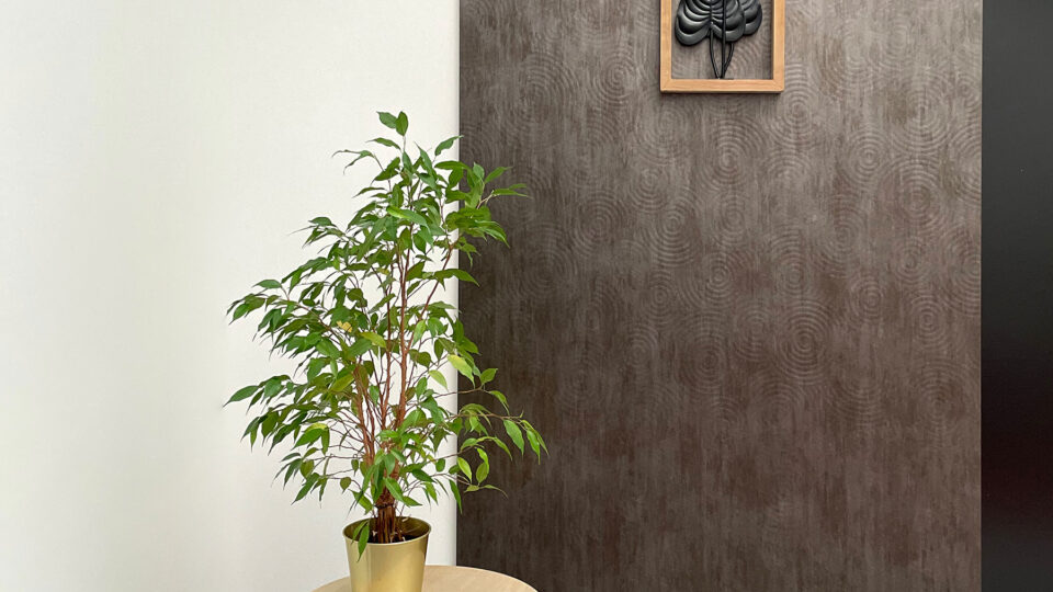 grüne Pflanze vor dunkel strukturiertem Hintergrund