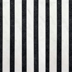 Close-up of an acoustic panel with evenly spaced vertical stripes. The raised stripes resemble white limestone, while the background appears matte black.